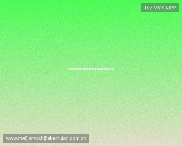 亚星娱乐真人国际：全面解析世界杯期间的精彩赛事与娱乐互动体验